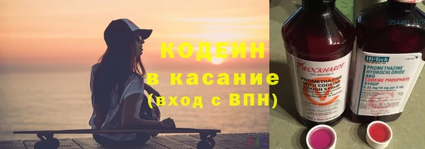 ECSTASY Алзамай