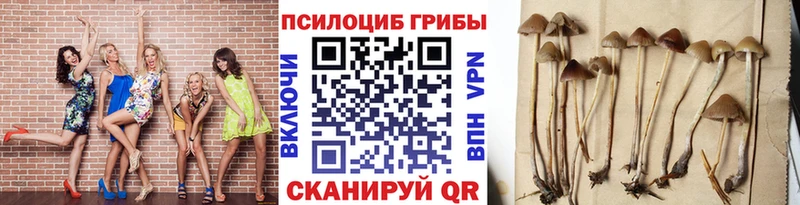 MEGA маркетплейс Кемь Псилоцибиновые грибы Psilocybe купить закладку
